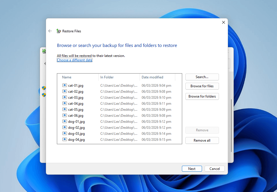 Adding files to the recovery list in the Backup and Restore interface