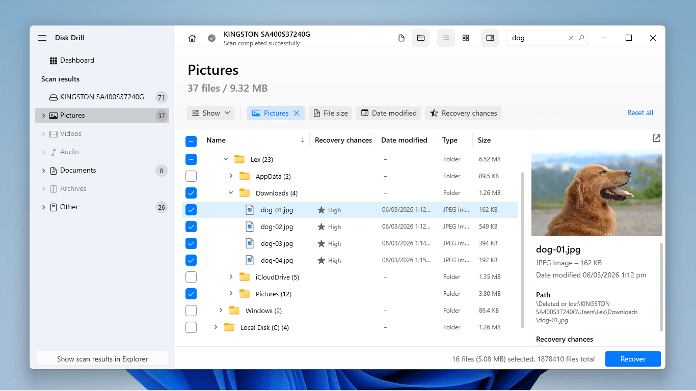 Previewing a file in Disk Drill and selecting it for recovery