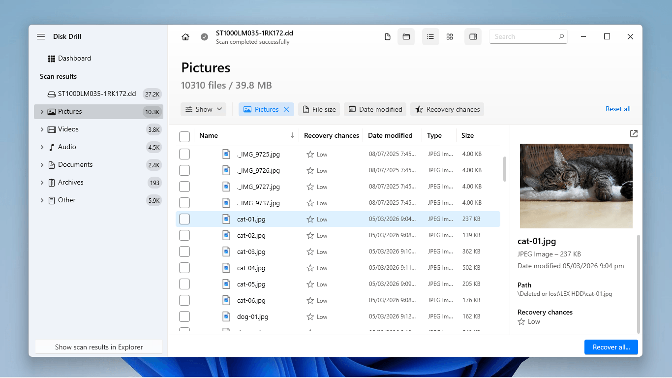 Disk Drill search bar, data filters, and preview display