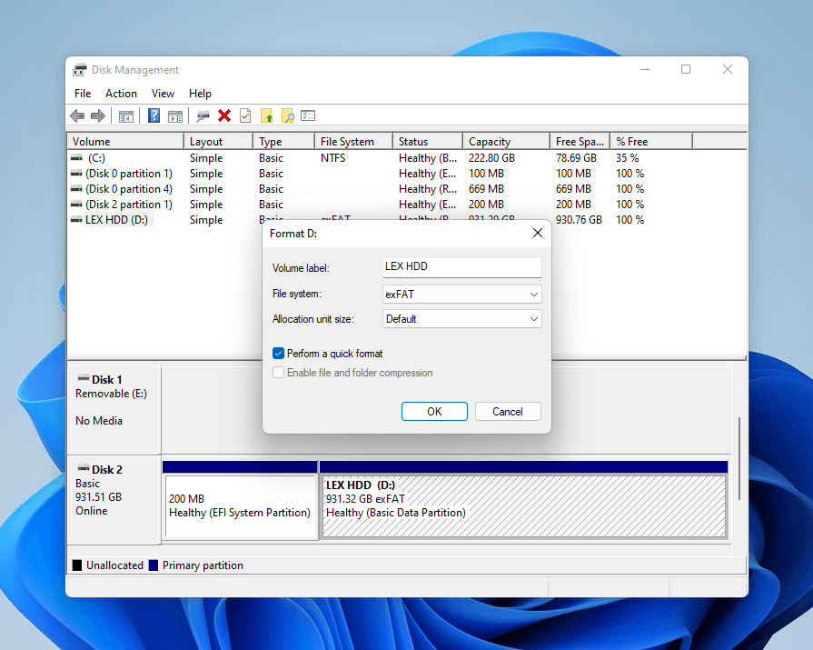 Formatting dialog window in Disk Management