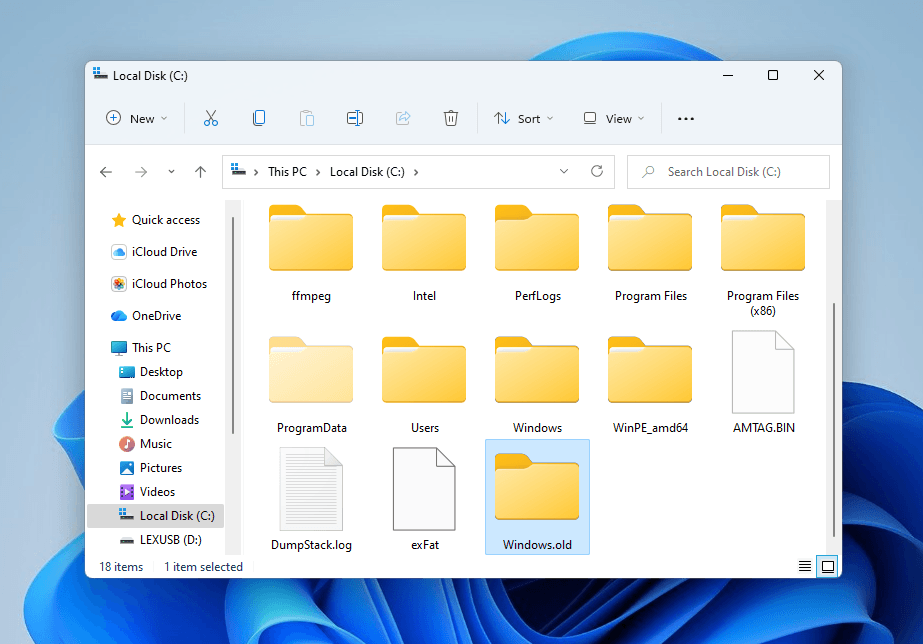 Opening the Windows.old folder in File Explorer