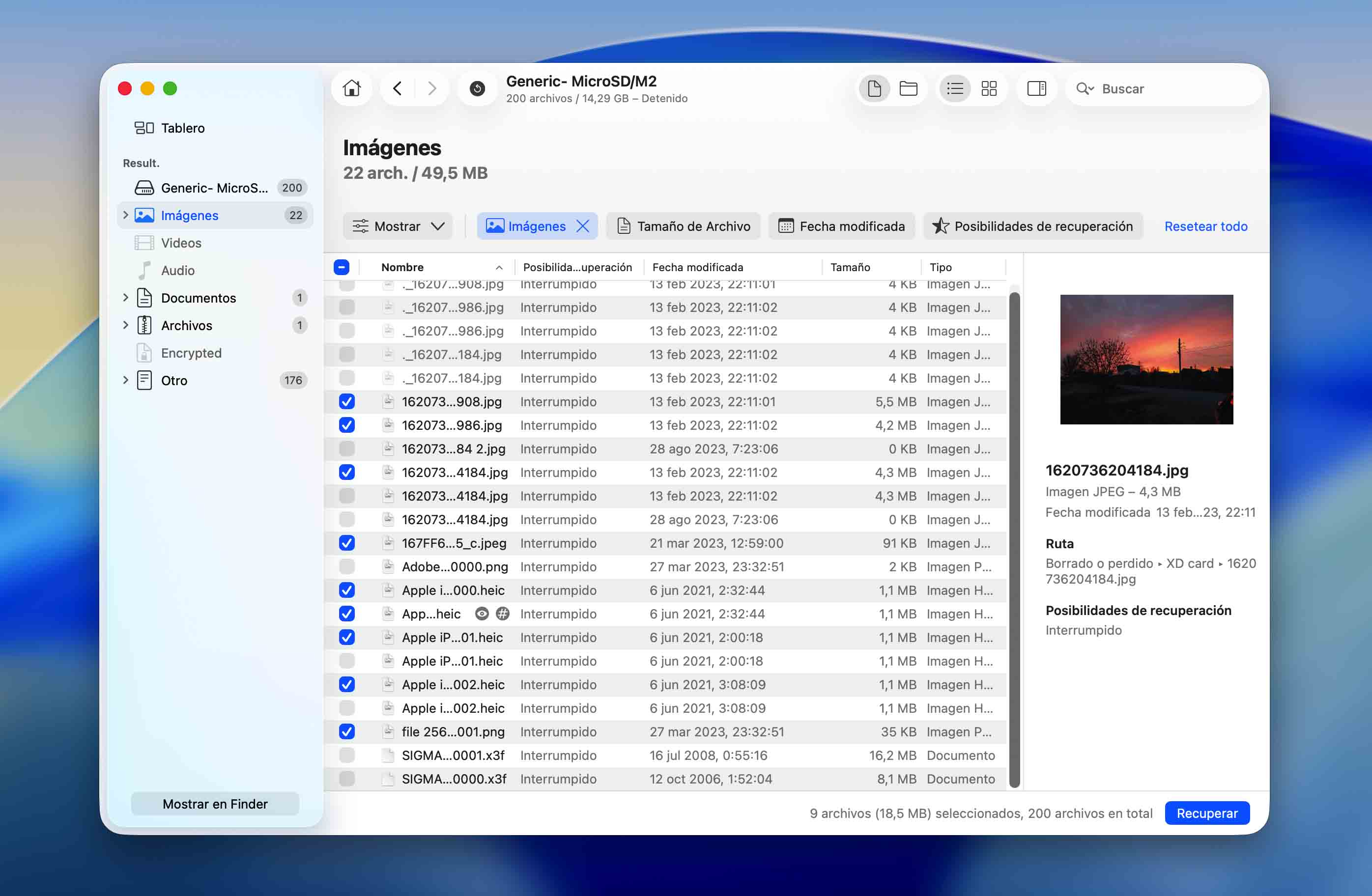 previsualiza y selecciona los archivos para recuperarlos de una tarjeta sd formateada