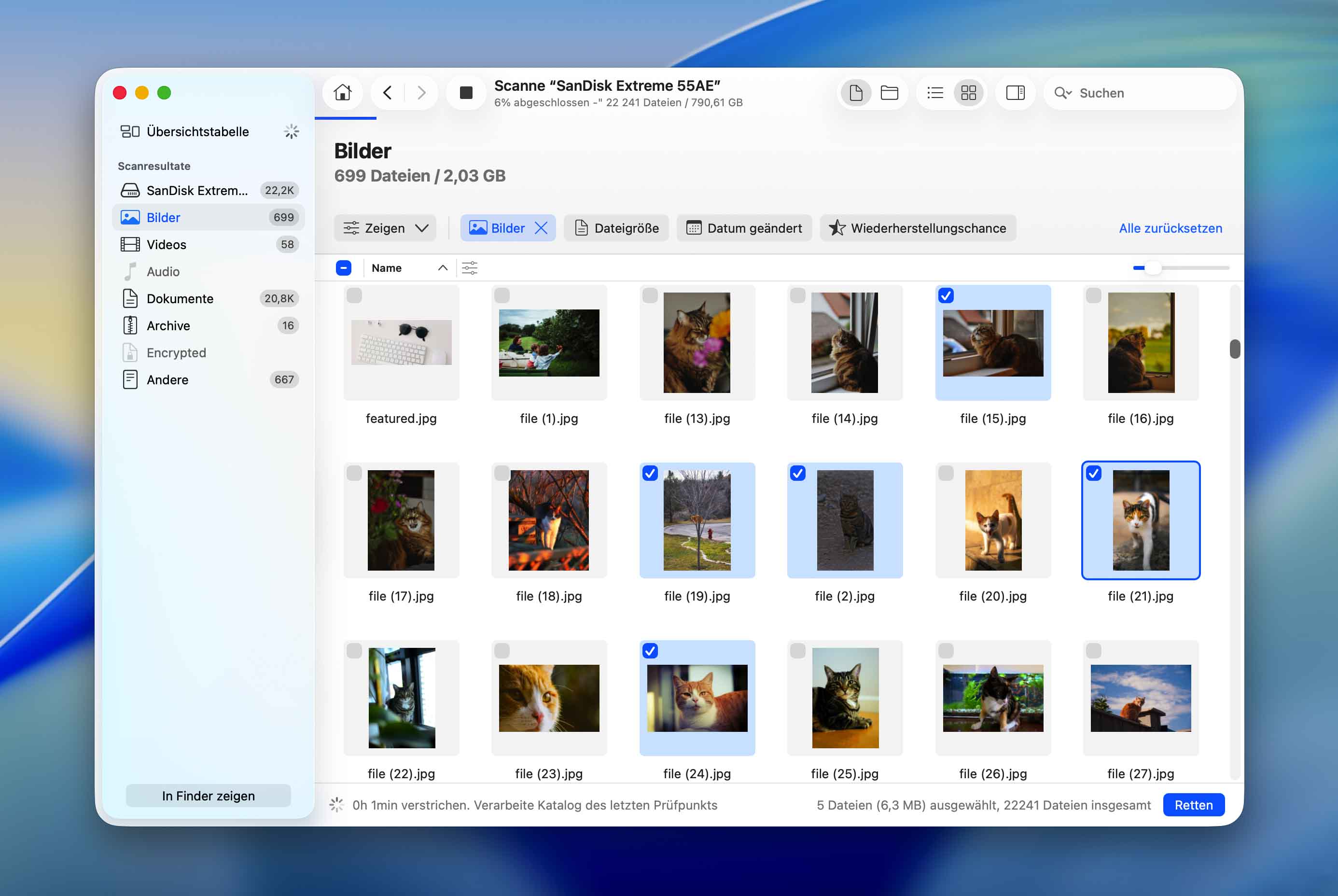 Gelöschte Fotos mithilfe einer Fotowiederherstellungs-App wiederherstellen