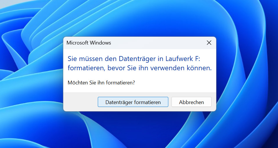 Formatierungszweck des Laufwerks unter Windows