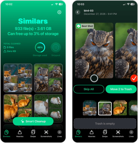 Clever Cleaner similar photo cleaning tool interface