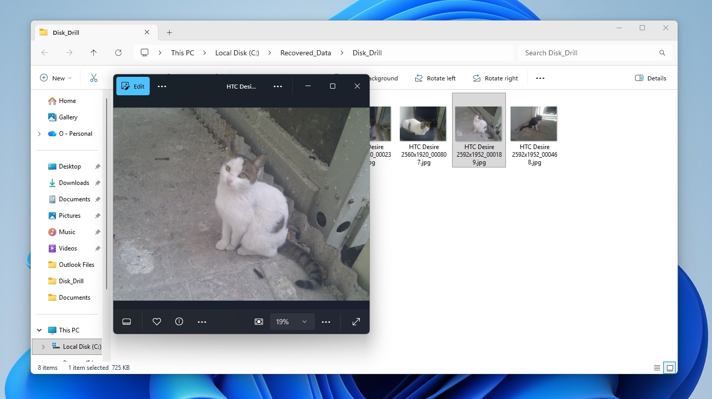 Disk Drill Recovered Files In Folder and Open Recovered Cat Photo