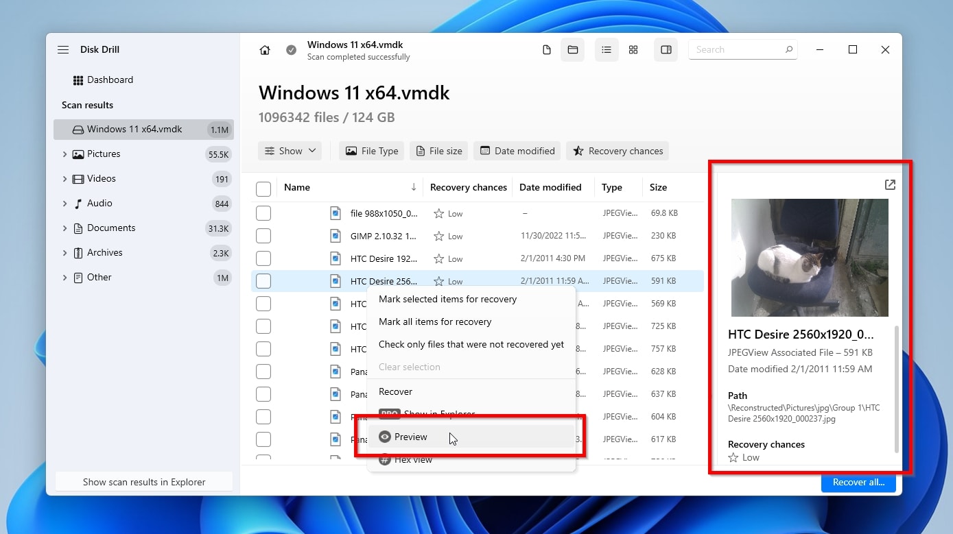 Disk Drill Results Preview Option and Panel