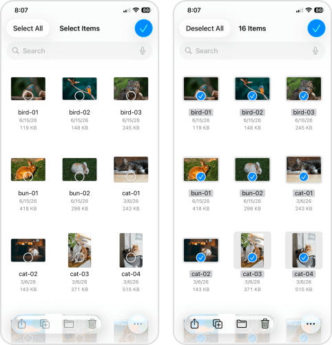 Deleting downloaded photos in the Files app