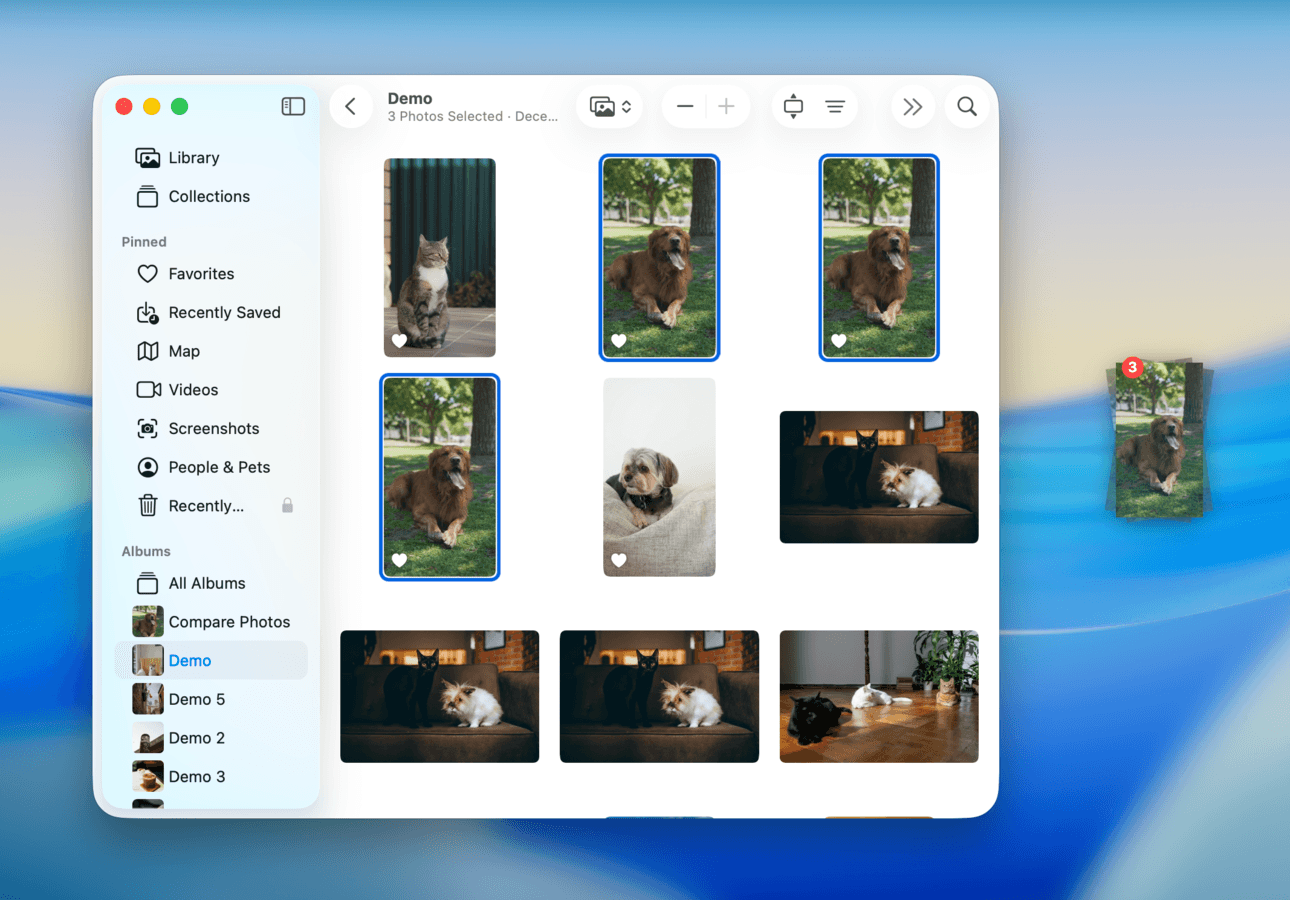 A photo of a dog on a Mac desktop after being dragged from the Photos app window beside it