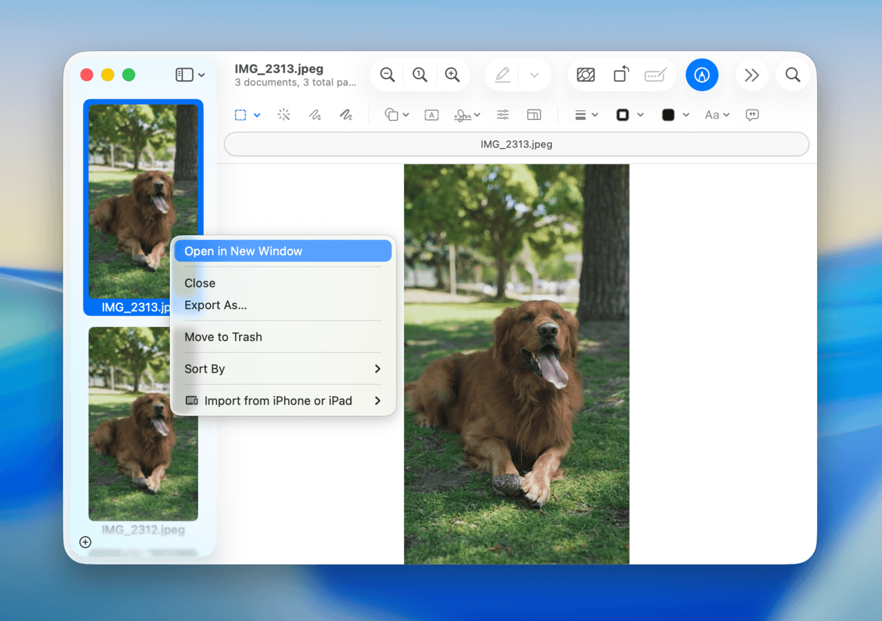 Mac Preview window with a thumbnail selected in the left sidebar. Right-click menu is opened, and Open in New Window is selected.