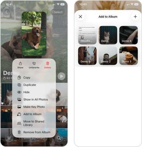 Adding images to a new album in the Photos app
