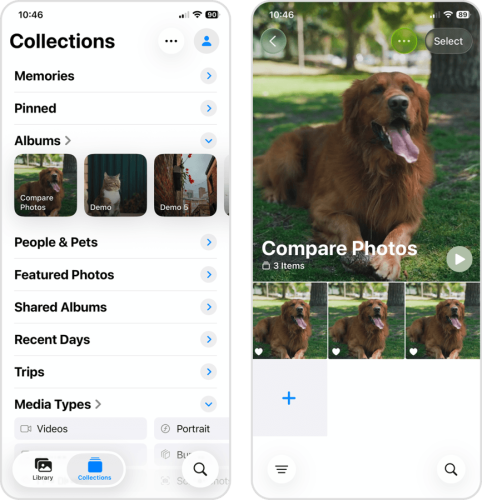 Comparing pictures in the Photos app after adding them to a dedicated album