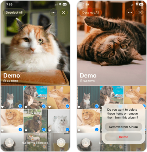 Deleting images from an album in the Photos app
