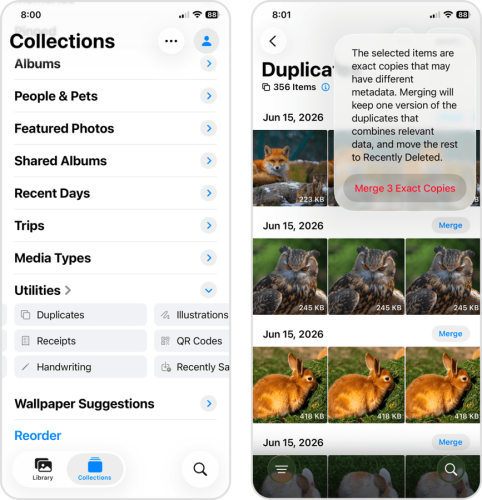 Merge tool in the Duplicates album