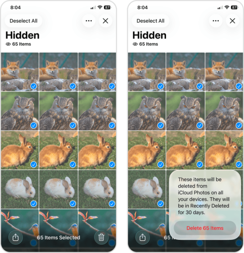 Deleting images from the Hidden album in the Photos app