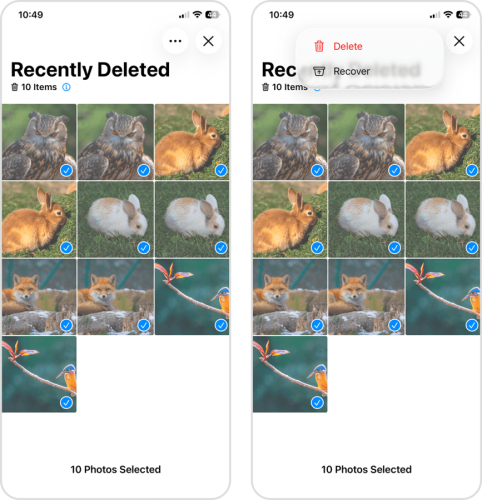Deleting photos from the Recently Deleted album in the Photos app