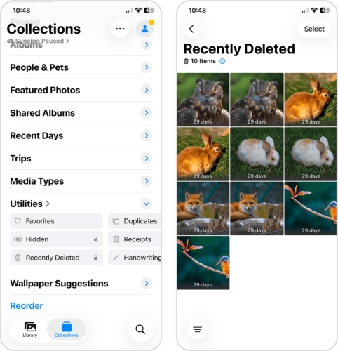 Recently Deleted album in the Photos app