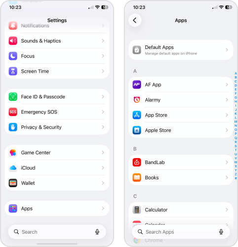 App Store option in the Apps page of the Settings app