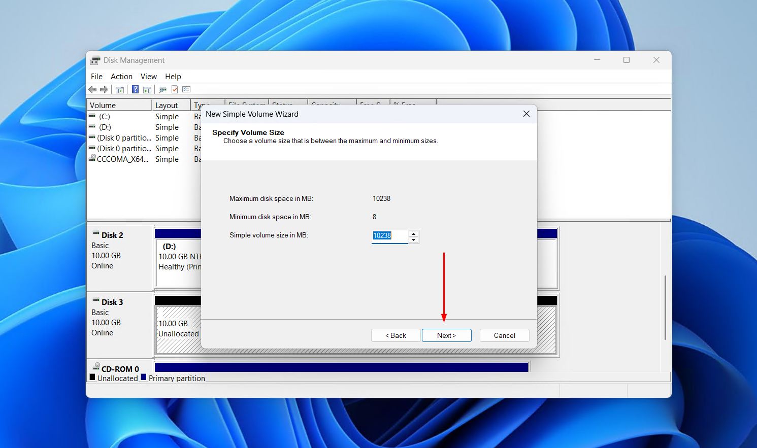 Specifying the volume size.
