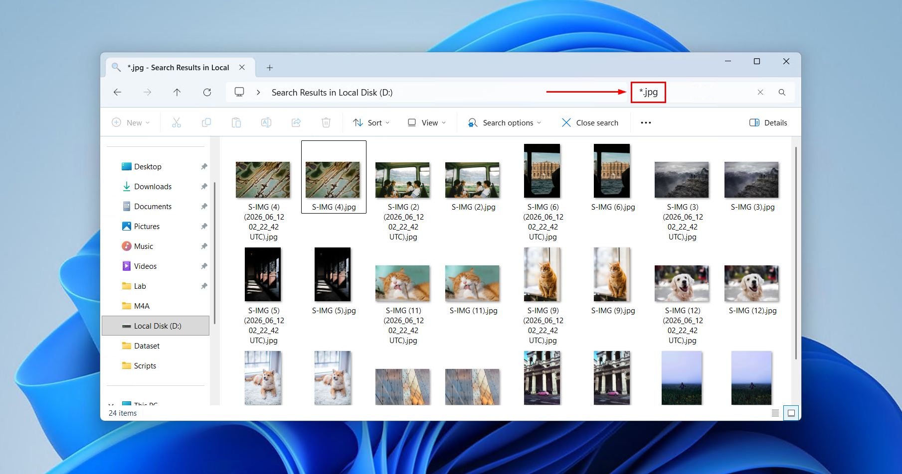 The Windows file search.