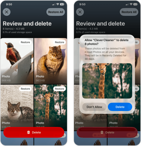 Clever Cleaner's Review and Delete dialog and confirmation window