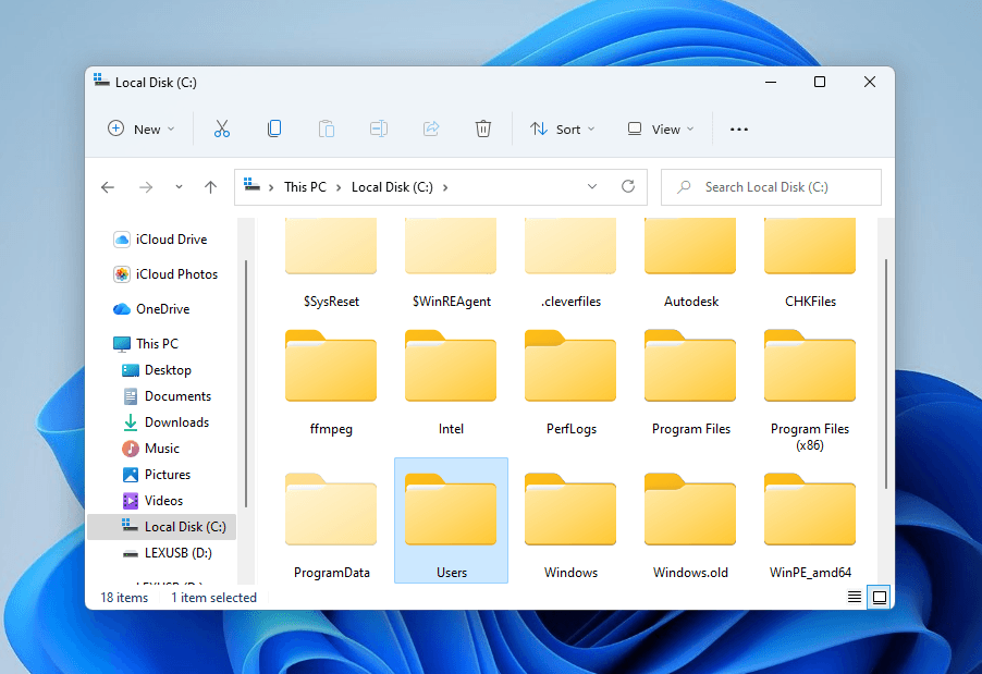 Users folder in the Local Disk C directory