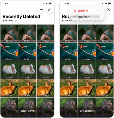Removing recently deleted photos in the Photos app