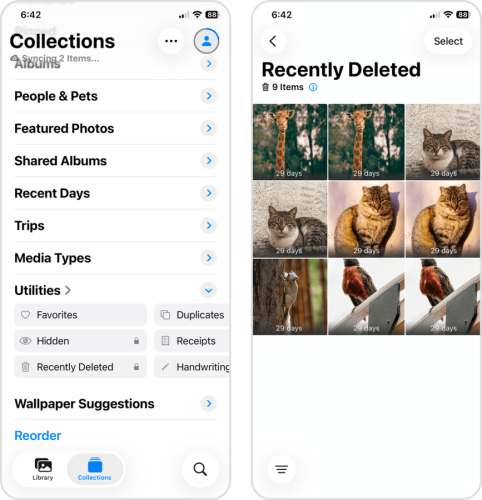 Removing recently deleted photos in the Photos app