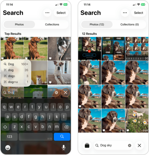 Built-in search tool in the Photos app