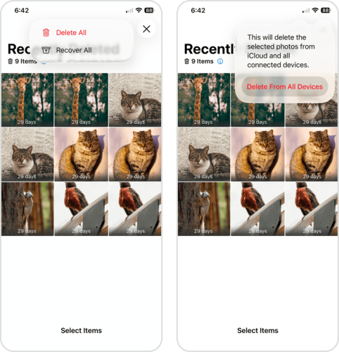 Confirming the removal of recently deleted photos in the Photos app