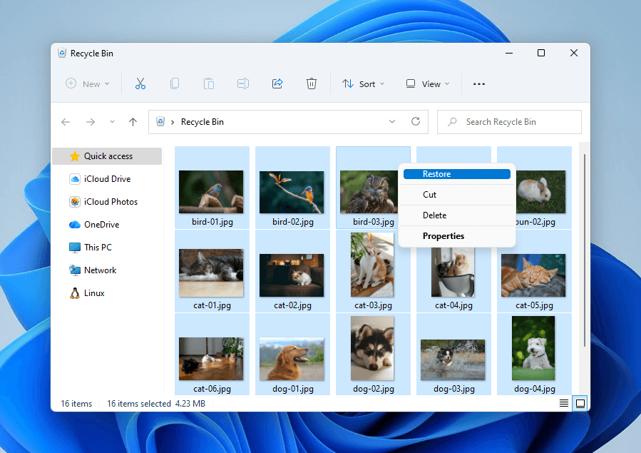 Recycle Bin folder with Desktop files being restored