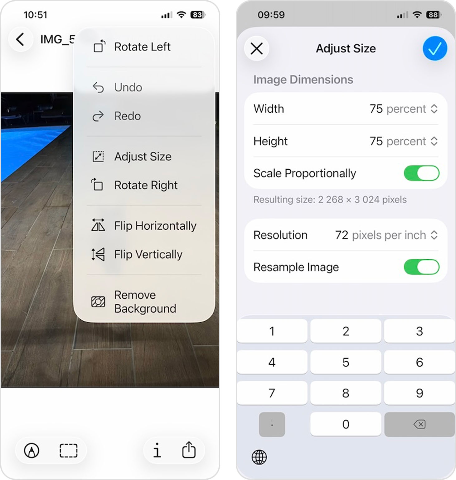 adjust photo size in preview app
