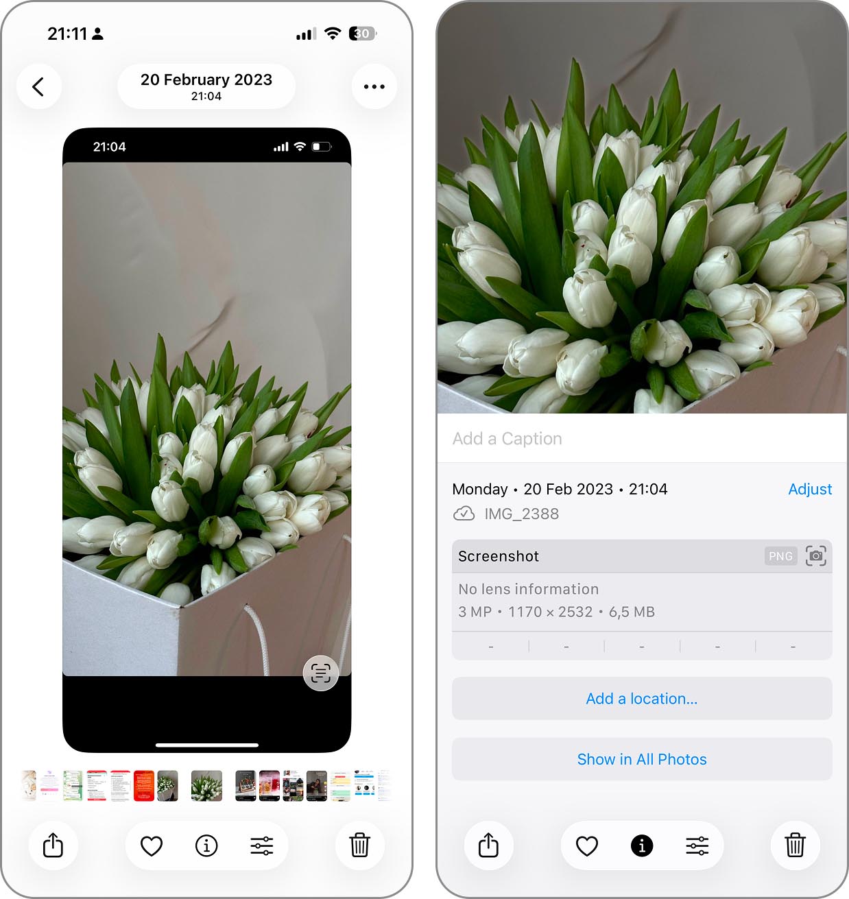 Vérifier la taille d’une capture d’écran dans l’application Photos.