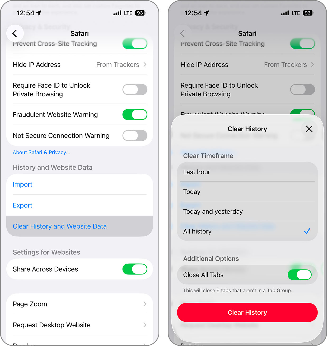 Clear History and Website Data in Safari settings