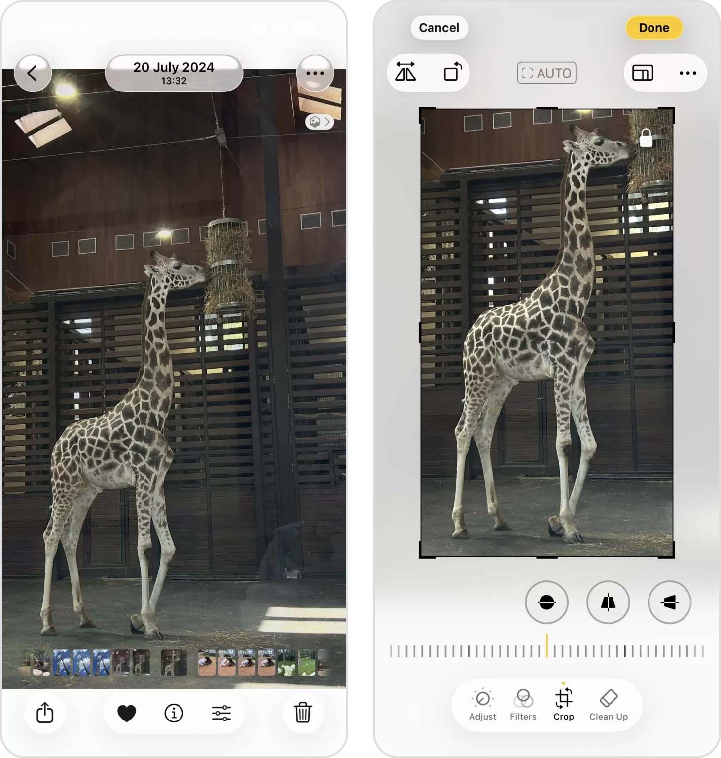crop photo on iphone
