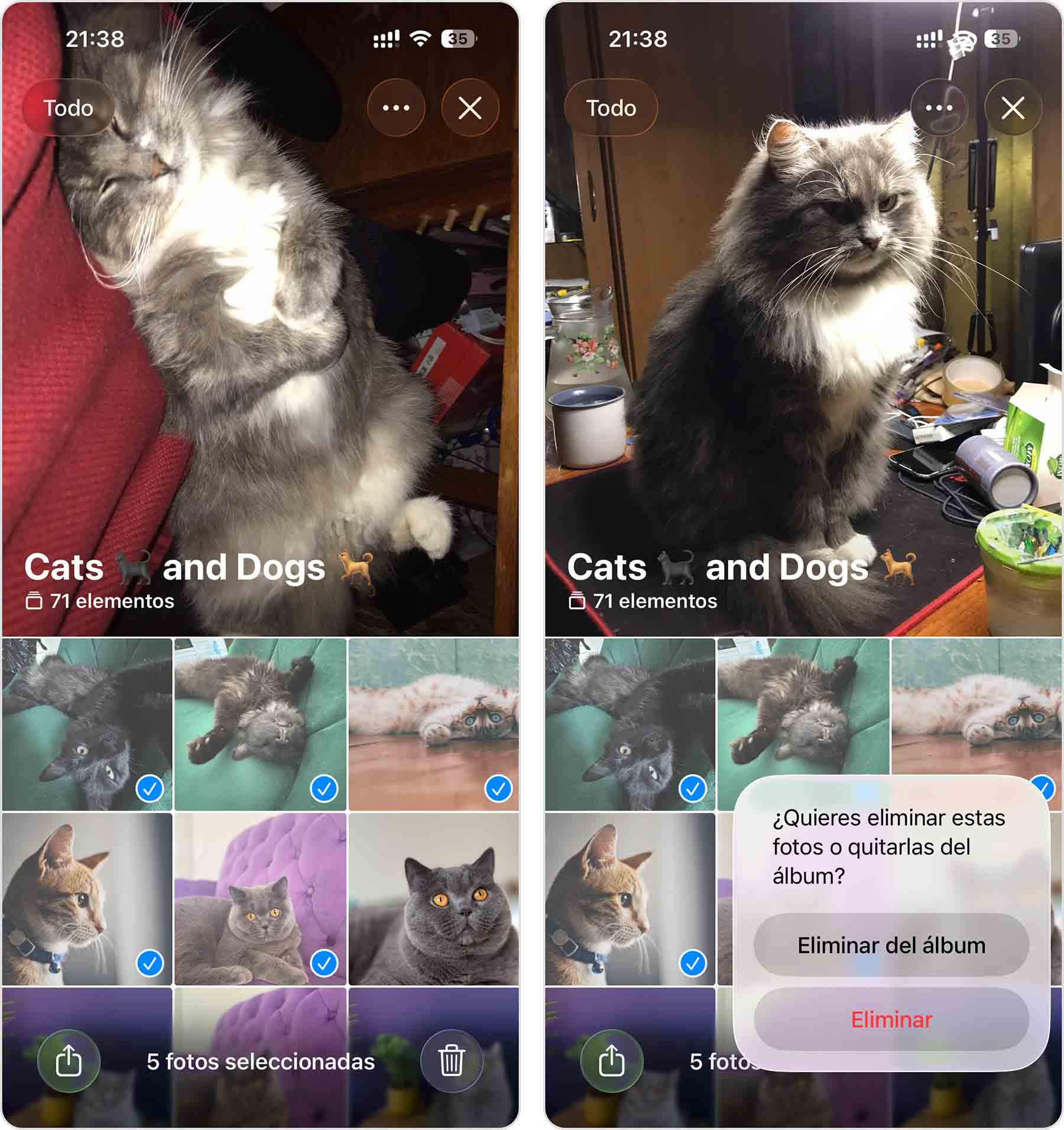 eliminar fotos del iPhone