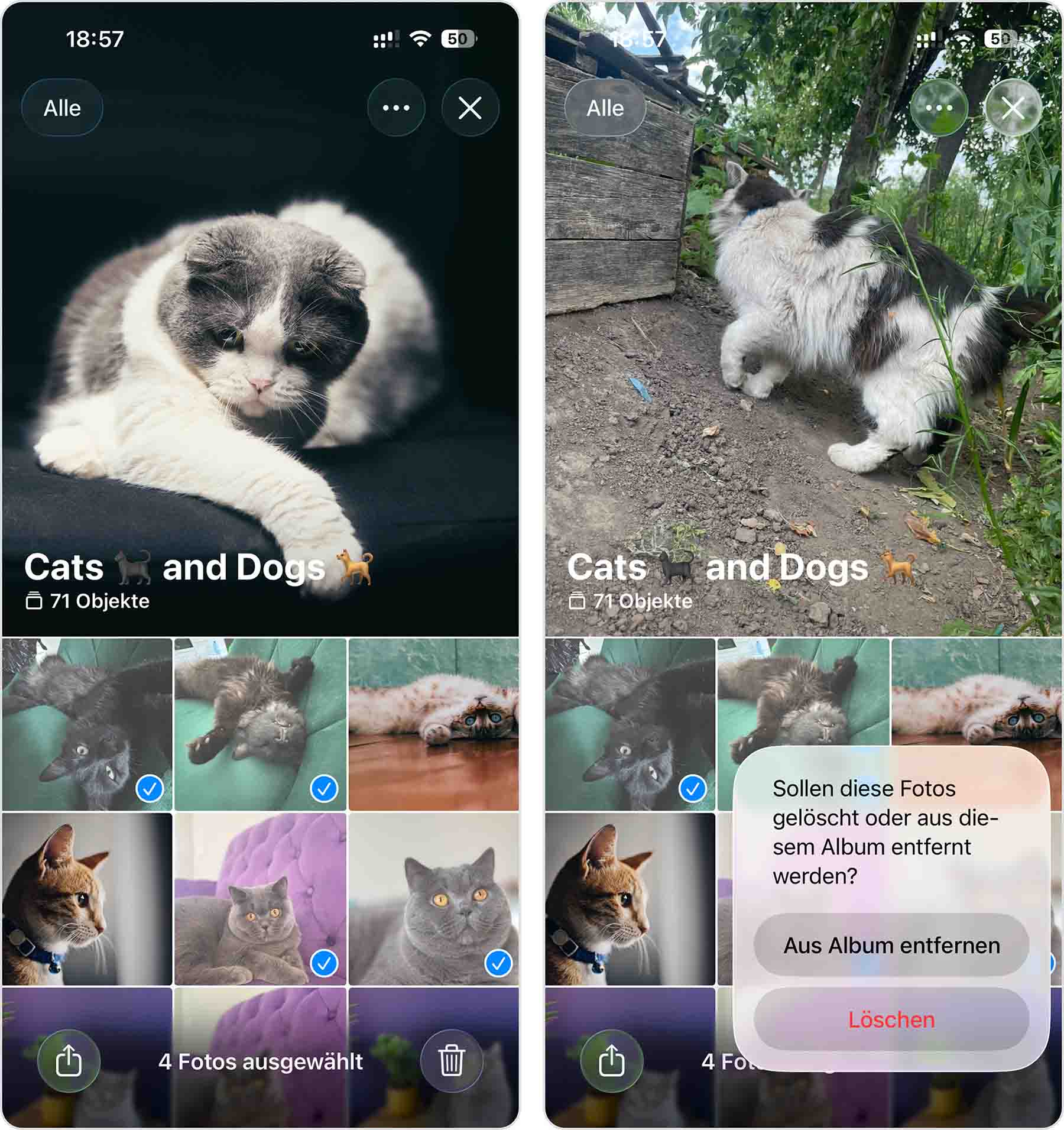 Fotos aus der Fotos-App löschen