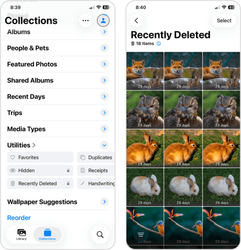 Opening the Recently Deleted album in the Photos app