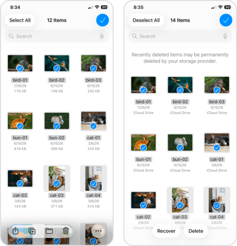 Removing recently deleted items from the Files app