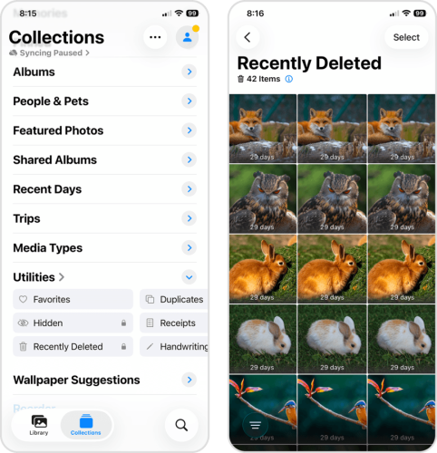 Recently Deleted album in the Photos app