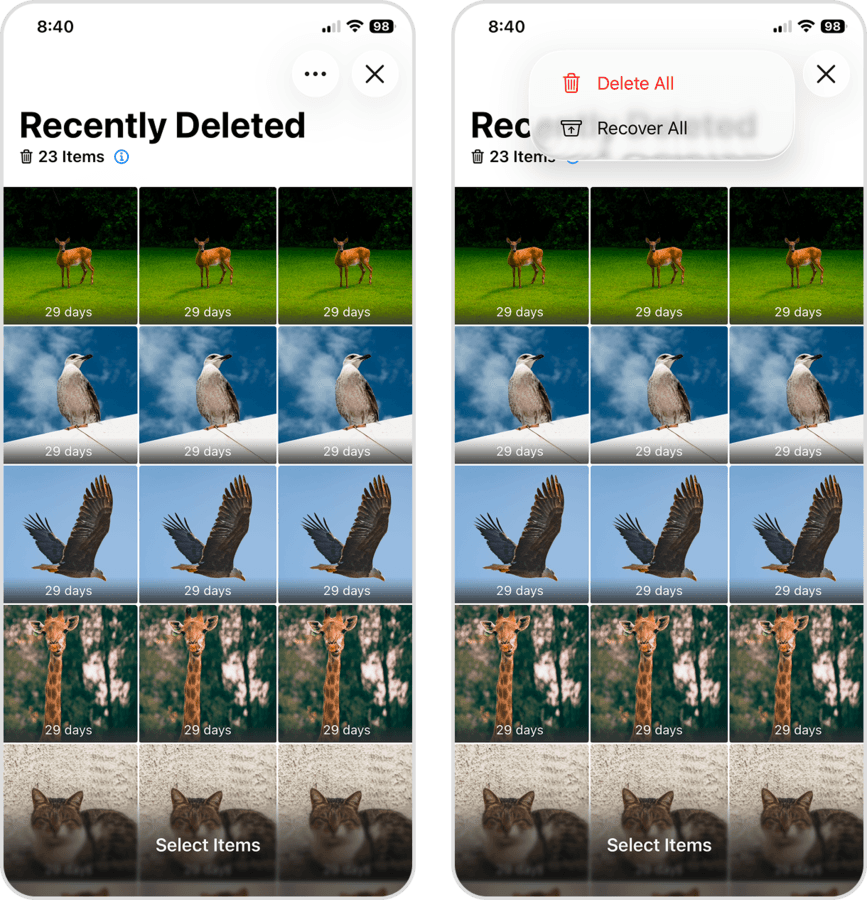 Removing photos from the Recently Deleted album in the Photos app