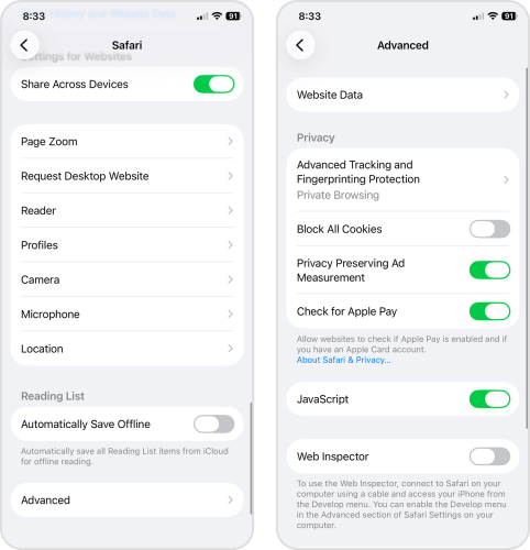 Finding the Website Data option in the Advanced page of the Safari menu in the Settings app