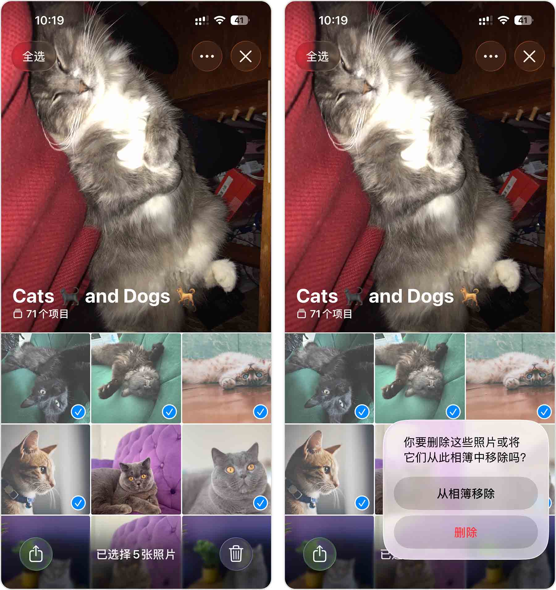 从 iPhone 中删除照片