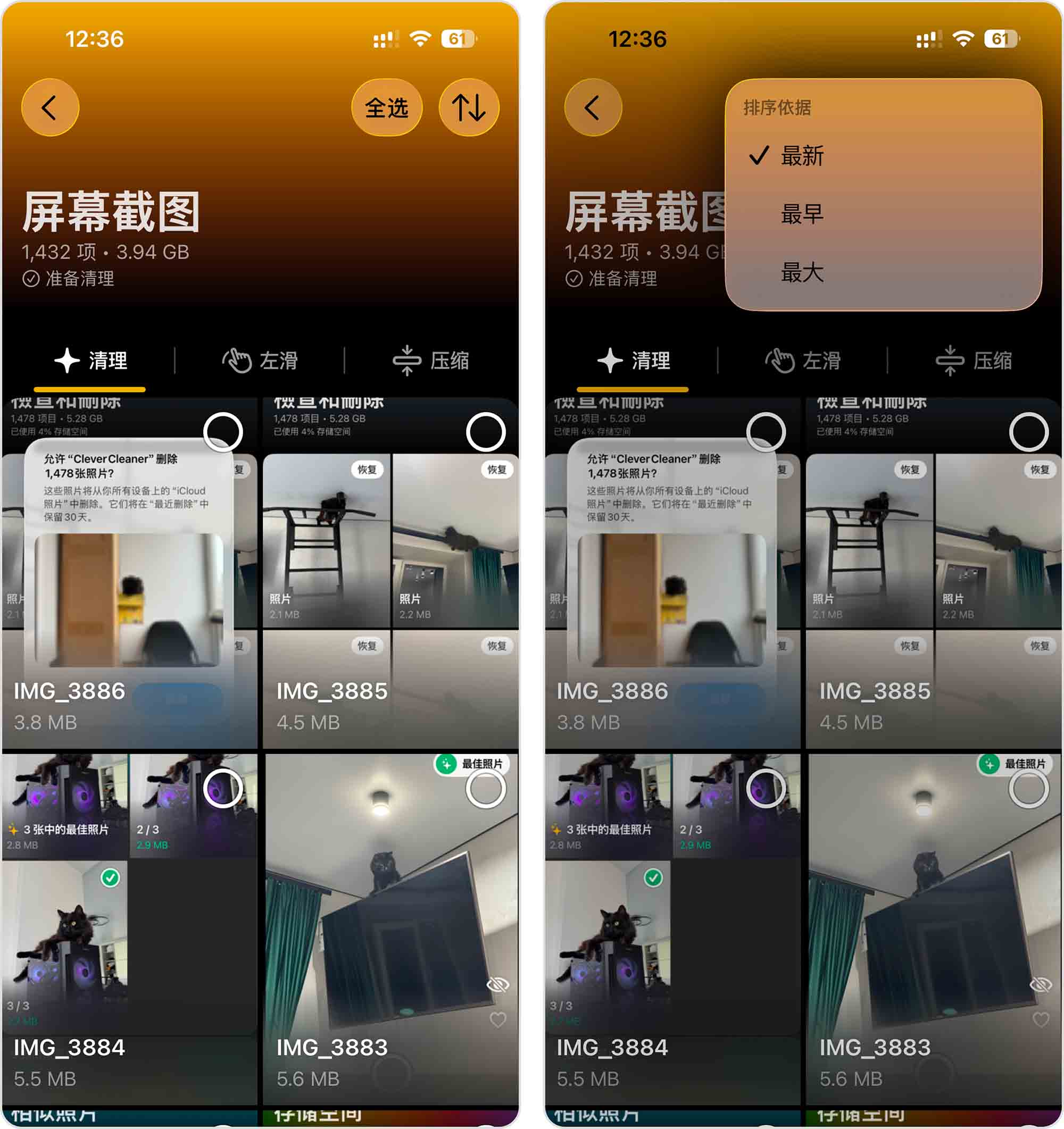 Clever Cleaner 中的截图版块