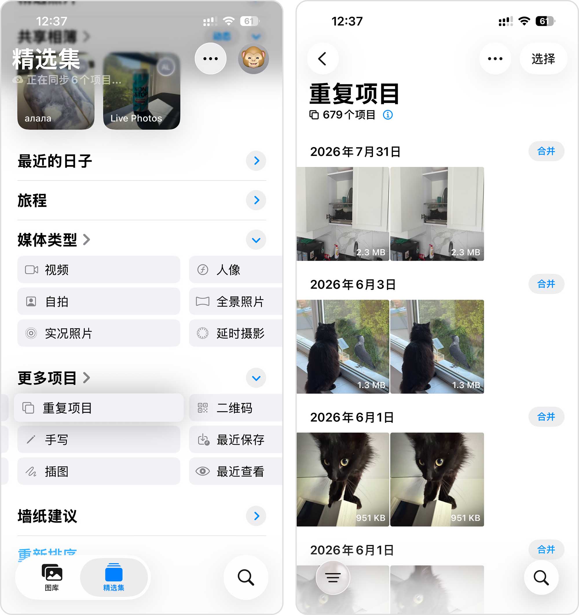 在“照片”应用中打开“重复项目”相簿