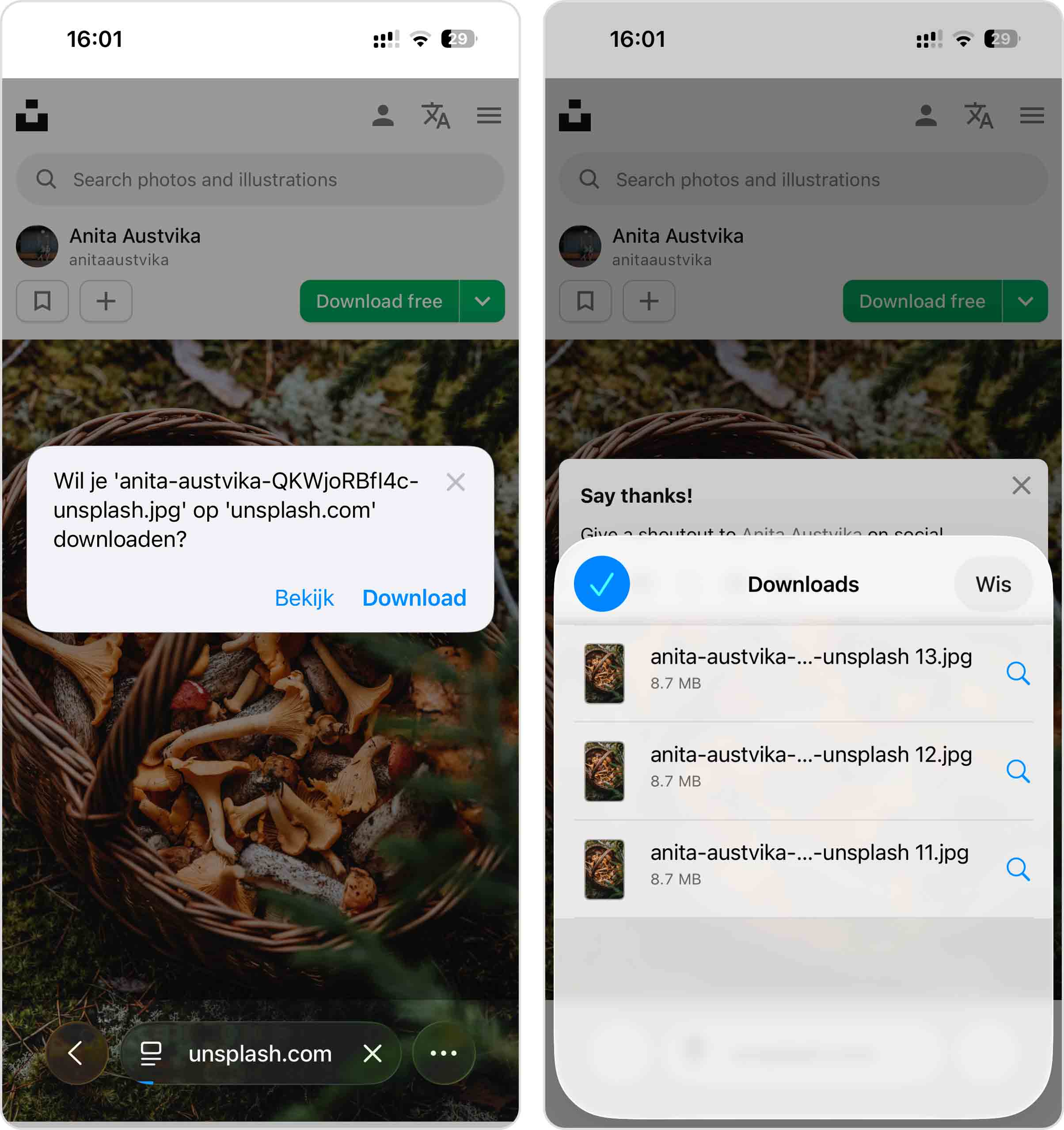 dubbele bestanden van meerdere downloads