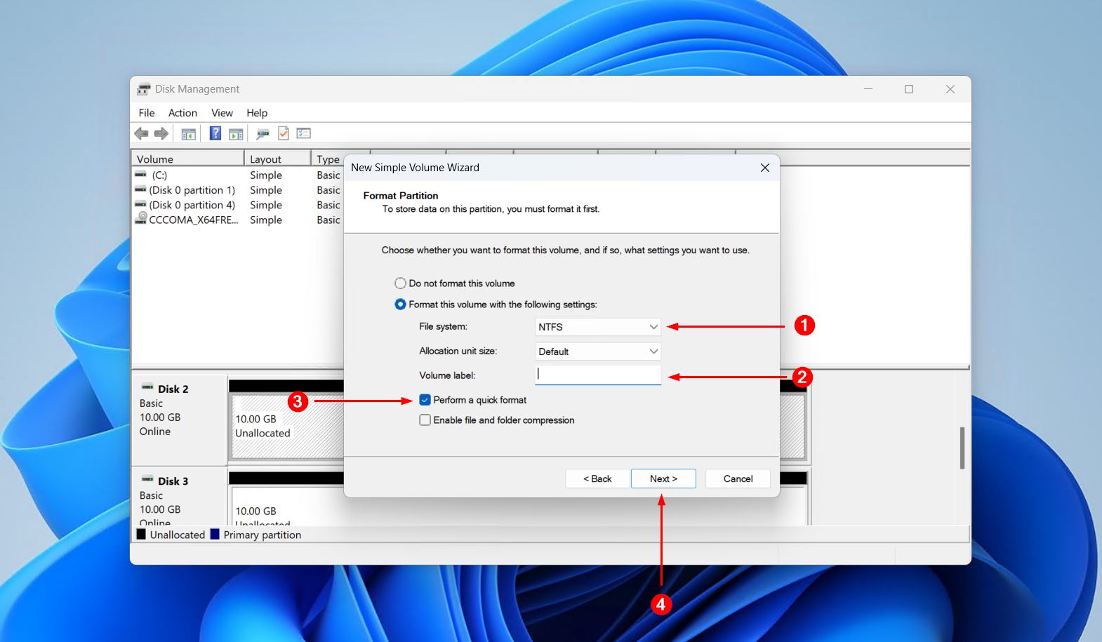 Choosing the format settings.