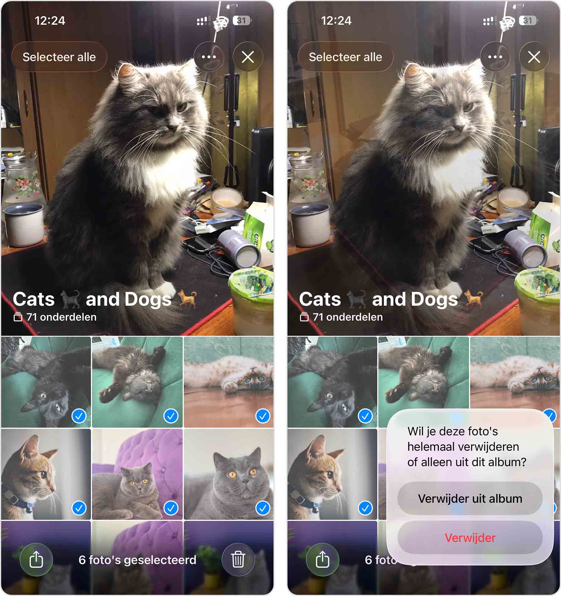foto's verwijderen van iPhone