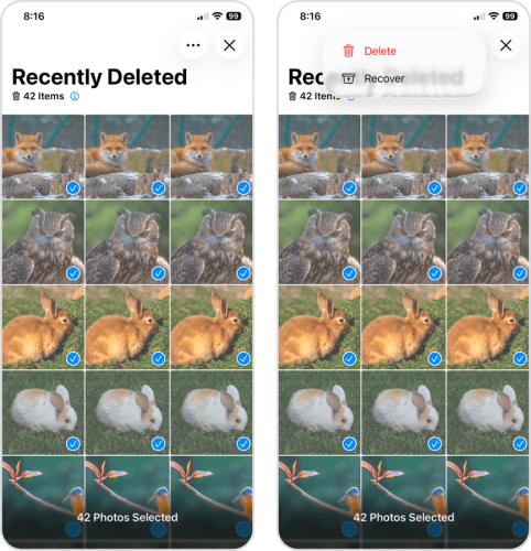Confirmation deletion in the Recently Deleted album