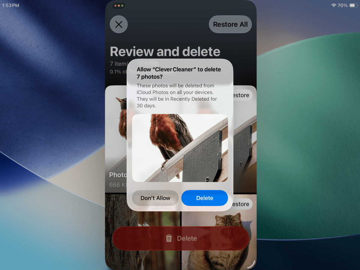 Confirming photo deletion in Clever Cleaner for iPad